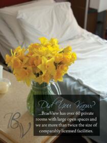 BraeView Branding Poster BraeView Branding Poster